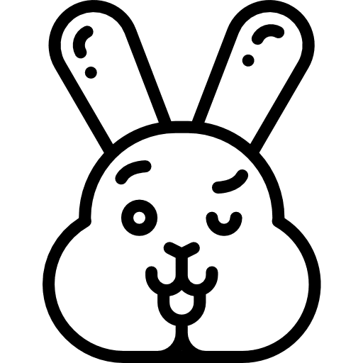 Bunny user animals mammal icon