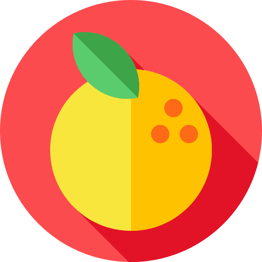 Orange vegan fruits and vegetables vegetarian icon