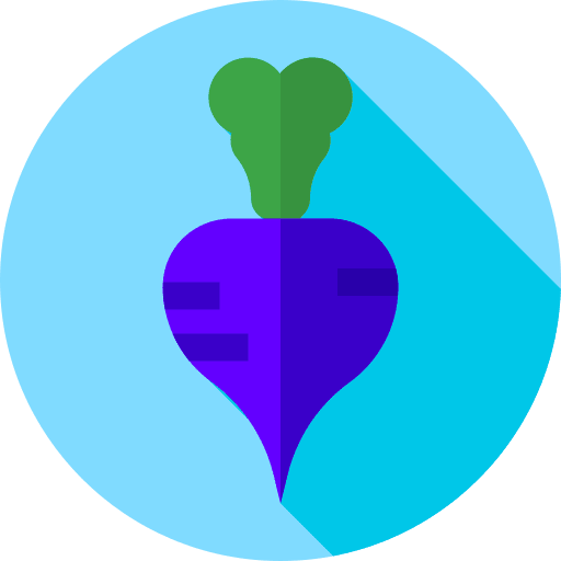 Beetroot fruits and vegetables vegetarian food icon