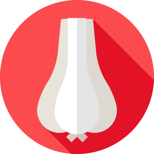 Garlic food vegetarian fruits and vegetables icon