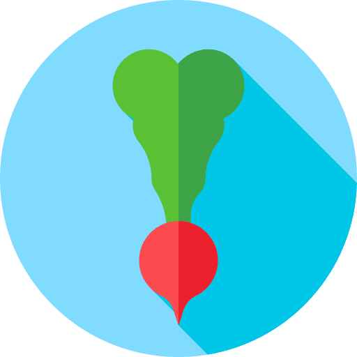 Radish diet healthy food food and restaurant icon