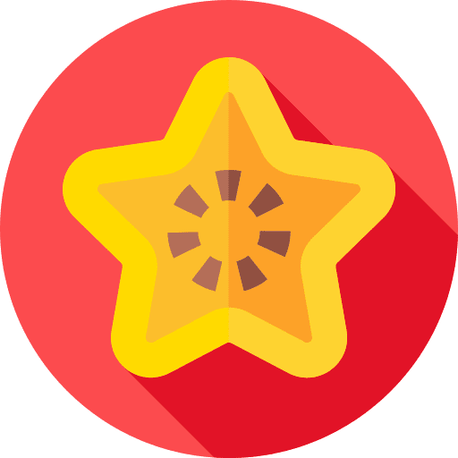 Star fruit cereal organic healthy food icon