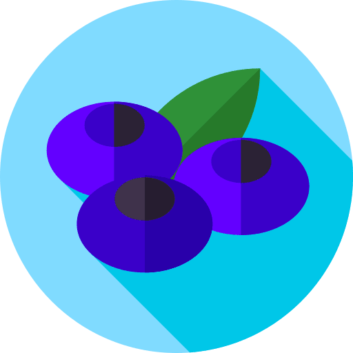 Blueberry food and restaurant diet healthy food icon