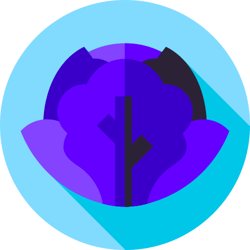 Cabbage cereal fruits and vegetables vegetarian icon