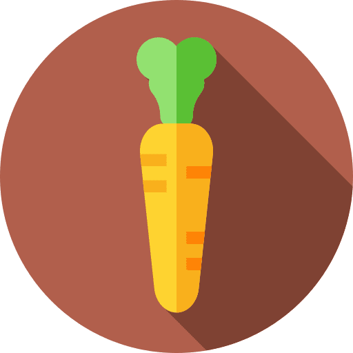 Carrot fruits and vegetables vegetarian diet icon