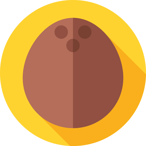 Coconut fruits and vegetables cereal food icon