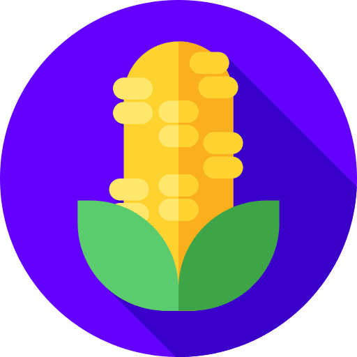 Corn food and restaurant fruits and vegetables diet icon
