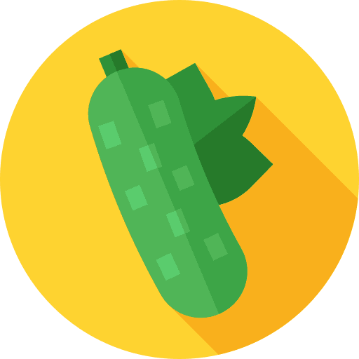 Cucumber vegetarian diet food icon