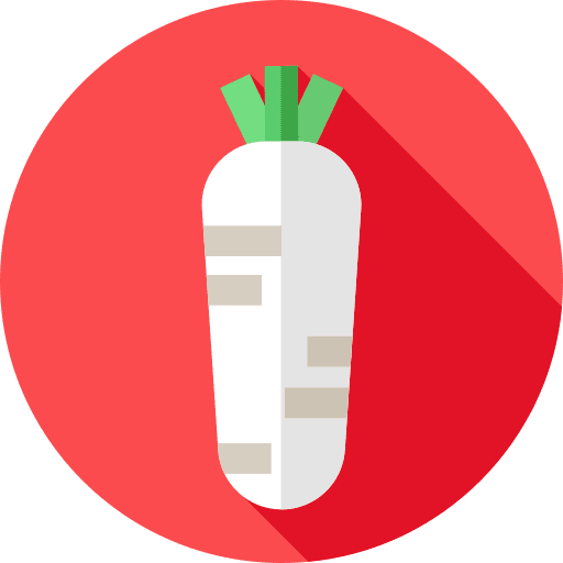 Horseradish vegan healthy food diet icon