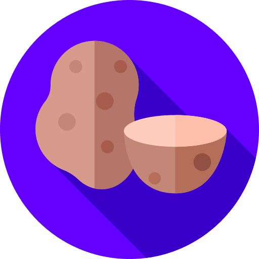 Potato organic healthy food diet icon