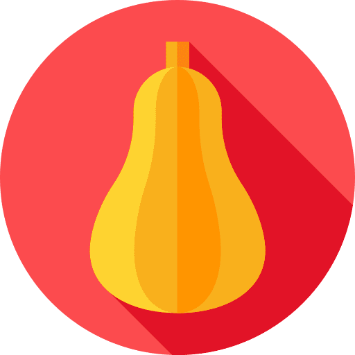 Squash butternut squash fruits and vegetables healthy food icon