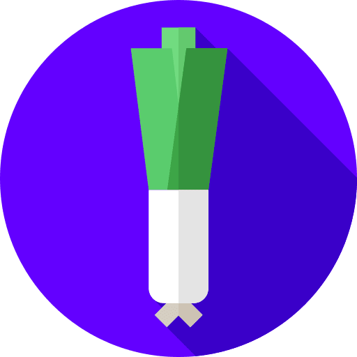 Leek fruits and vegetables healthy food vegan icon