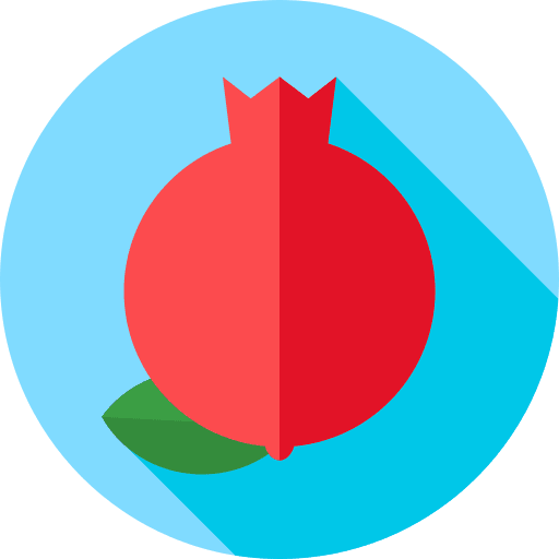 Pomegranate diet vegetarian fruits and vegetables icon