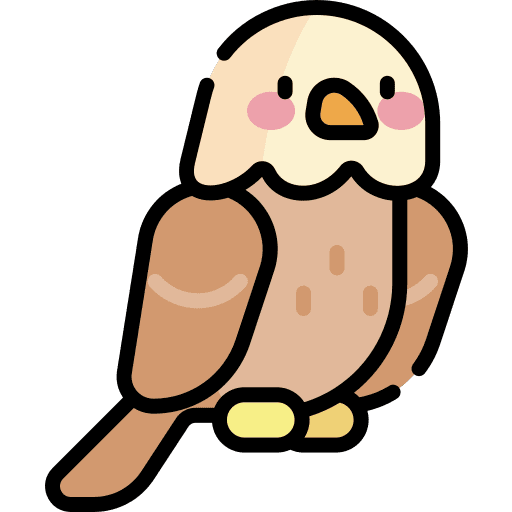 Eagle beak bird nature icon