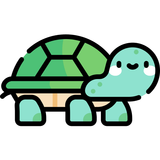 Turtle zoo wild life turtle icon