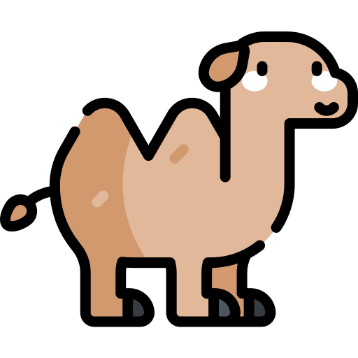 Camel animals zoo nature icon