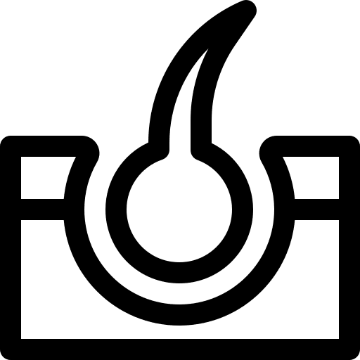 Hair healthcare and medical epidermis skin icon