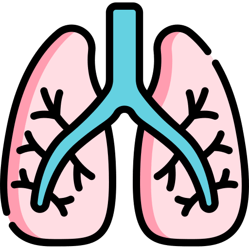 Lungs lung anatomy healthcare and medical icon