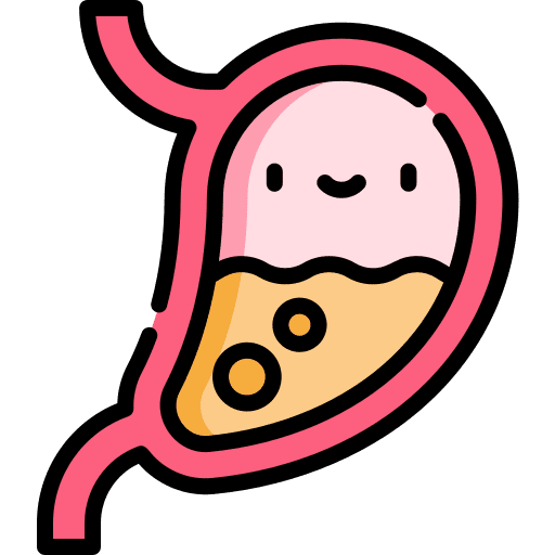 Stomach acid anatomy organ icon