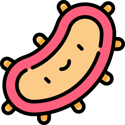 Bacteria education bacteria cell icon