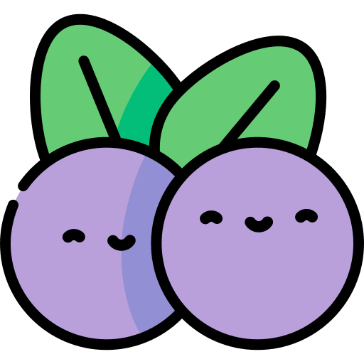 Blueberry blueberry healthy blueberries icon