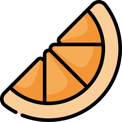 Orange orange diet vegan icon