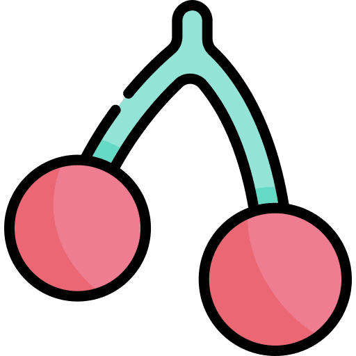 Cherry diet cherries fruit icon