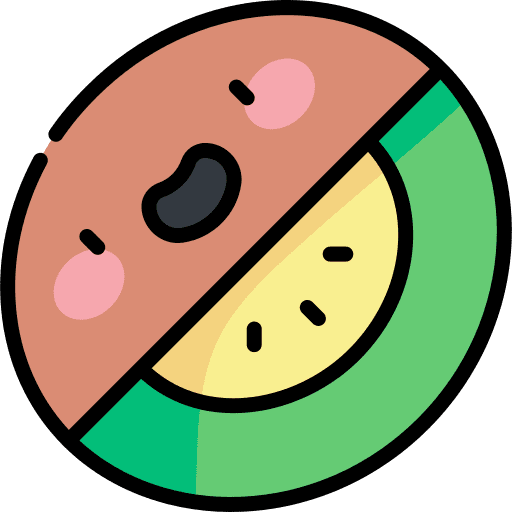 Kiwi diet fresh fruit icon