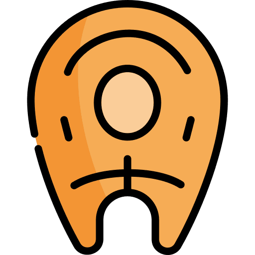 Salmon fish healthy salmon icon