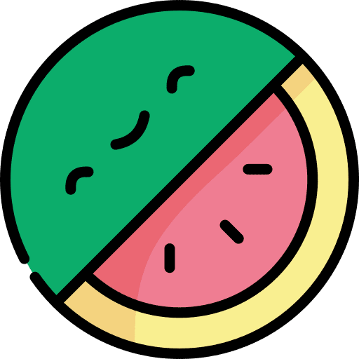 Watermelon healthy food food vegan icon