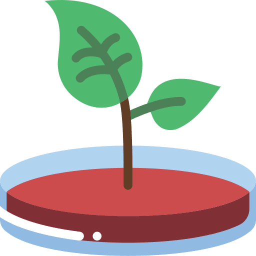 Petri dish healthcare plant sample icon