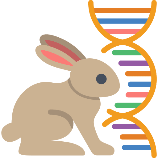Rabbit dna engineering rabbit icon