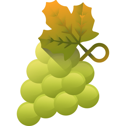 Grape food and restaurant berries fruits icon