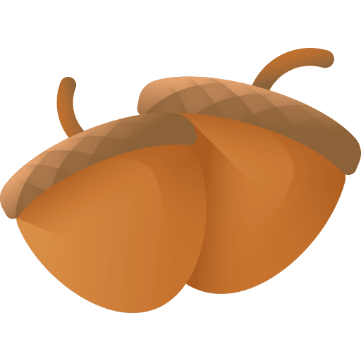 Acorn fruit food autumn icon