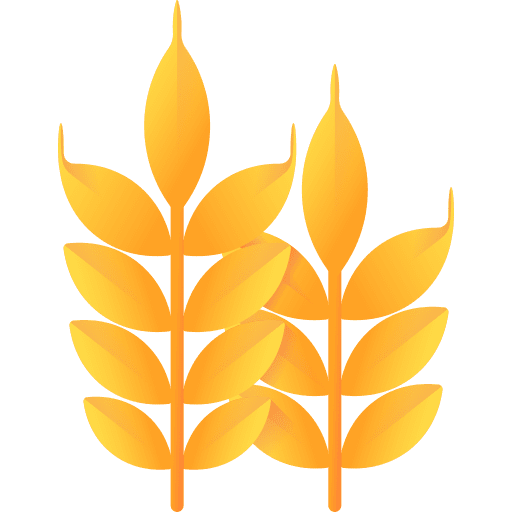 Barley branch farming and gardening wheat icon