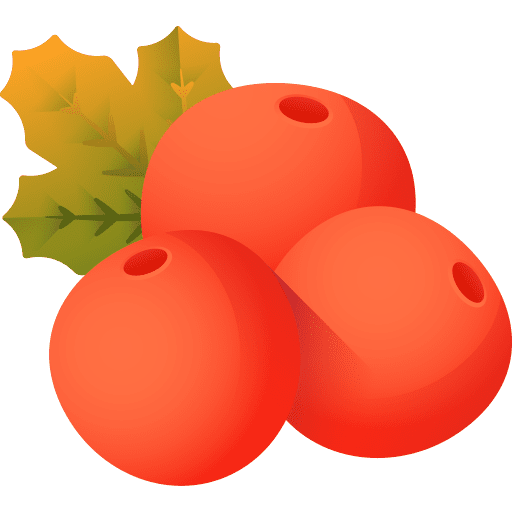 Berries berries food berry icon