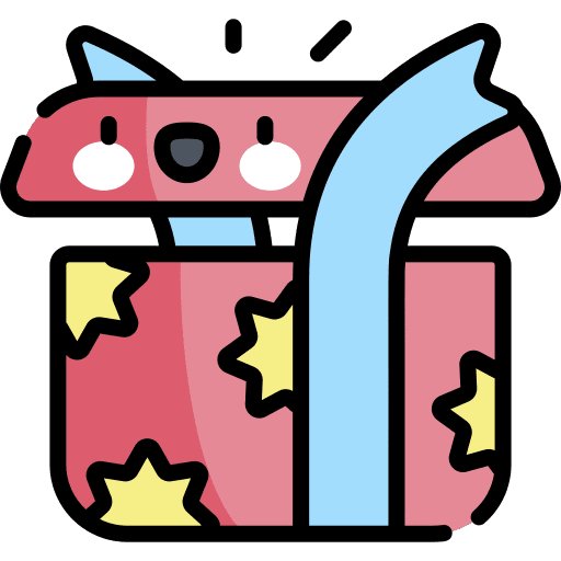 Gift present party celebration icon