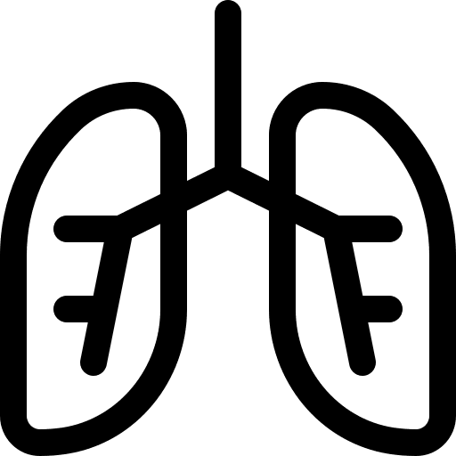 Lungs lung human lungs body icon