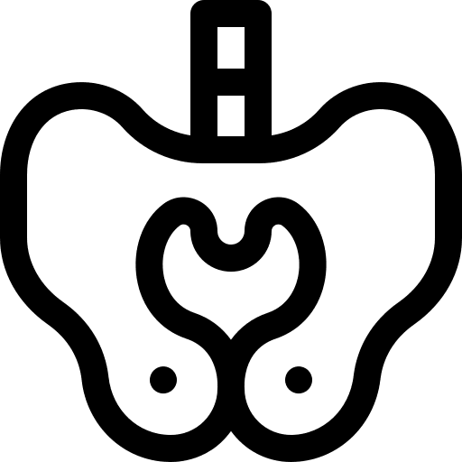Pelvis human body body parts physiology icon