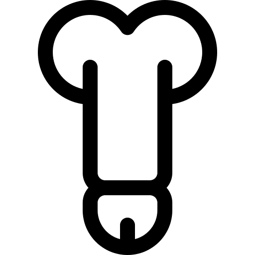 Penis masculine organs medical reproductive system icon