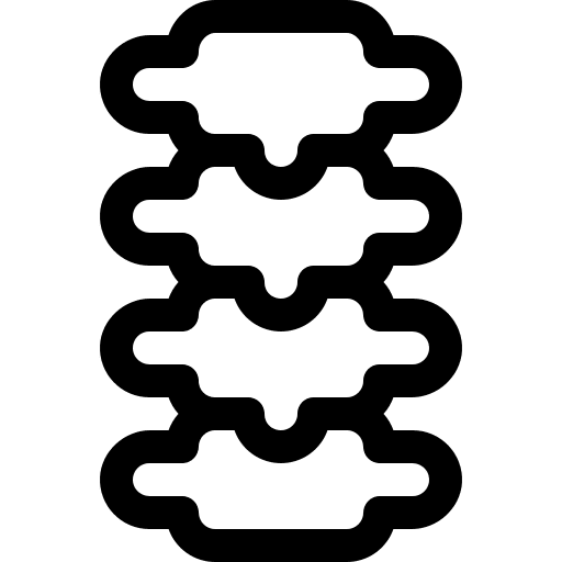 Spine backbone spinal column spine icon