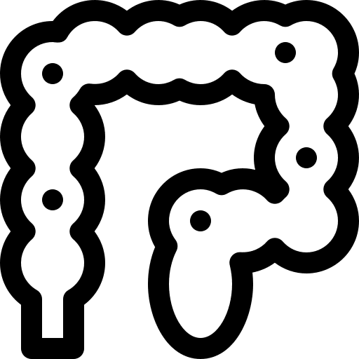 Colon healthcare and medical appendix large intestine icon