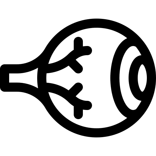 Eye balls human body eye balls organ icon