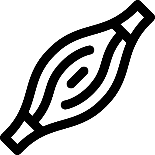 Human physiology human diagram icon