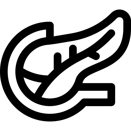 Pancreas healthcare and medical human body healthcare icon