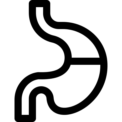 Stomach stomach organ human body icon