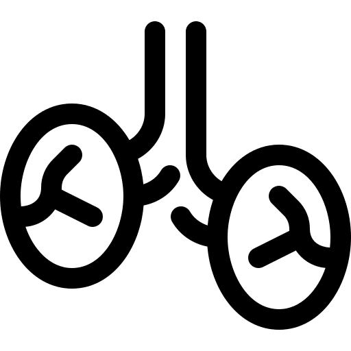 Testicles reproductive testicle body icon