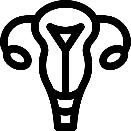 Uterus anatomy female organs uterus icon