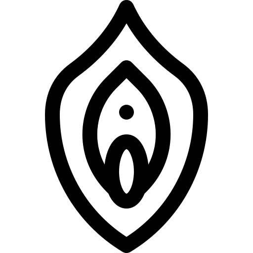 Vagina anatomy vagina medical icon