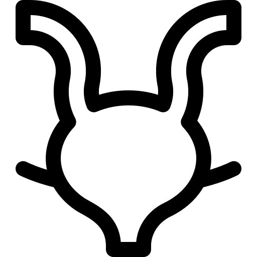 Bladder body healthcare and medical anatomy icon